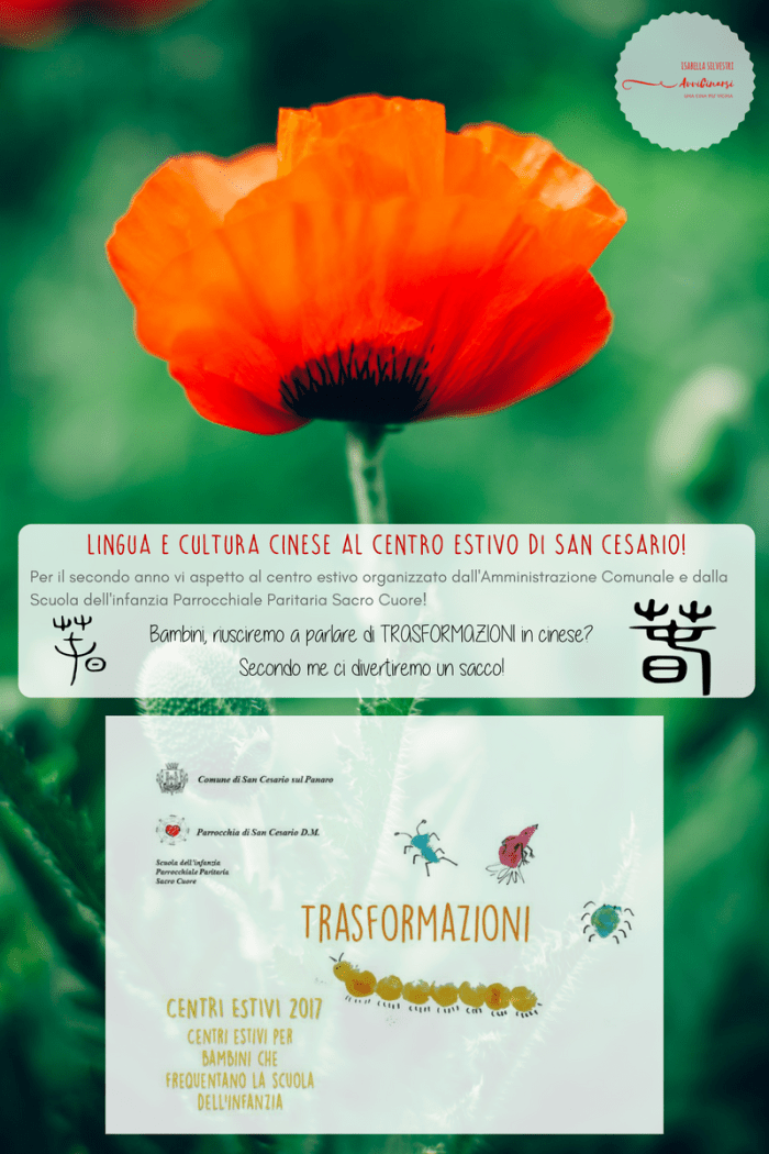 Centro Estivo San Cesario_Avvicinarsi_