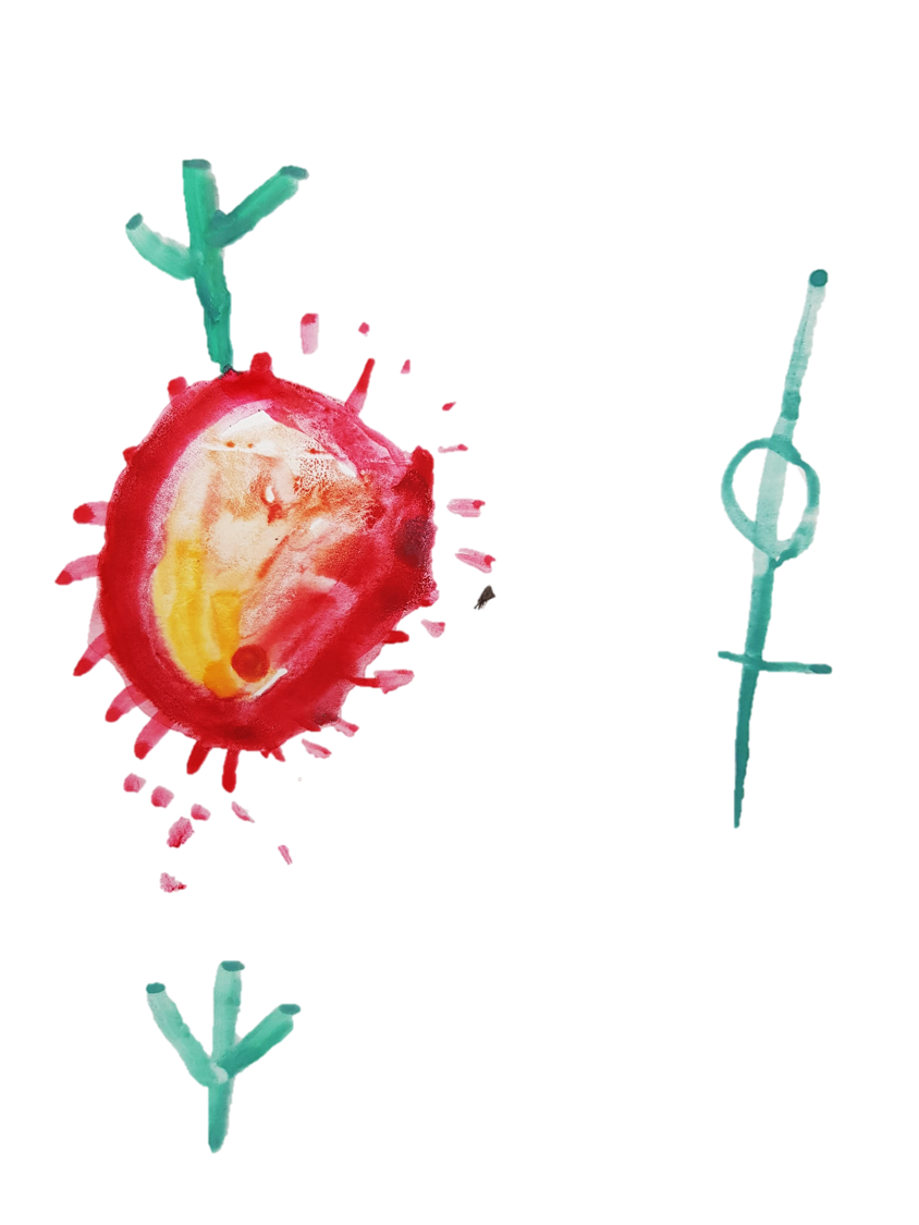 etimologia primavera